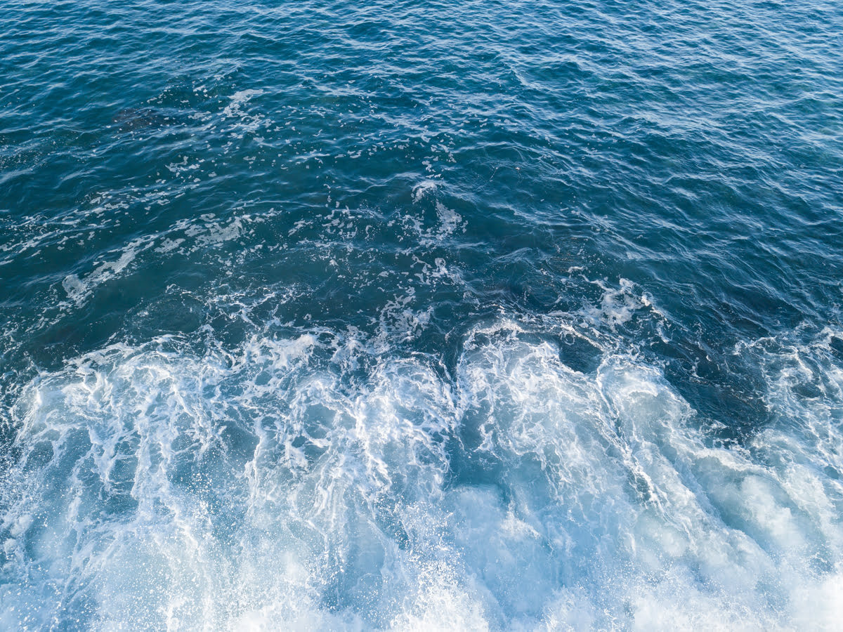 Esta son las diferencias entre el agua de mar y el agua alcalina